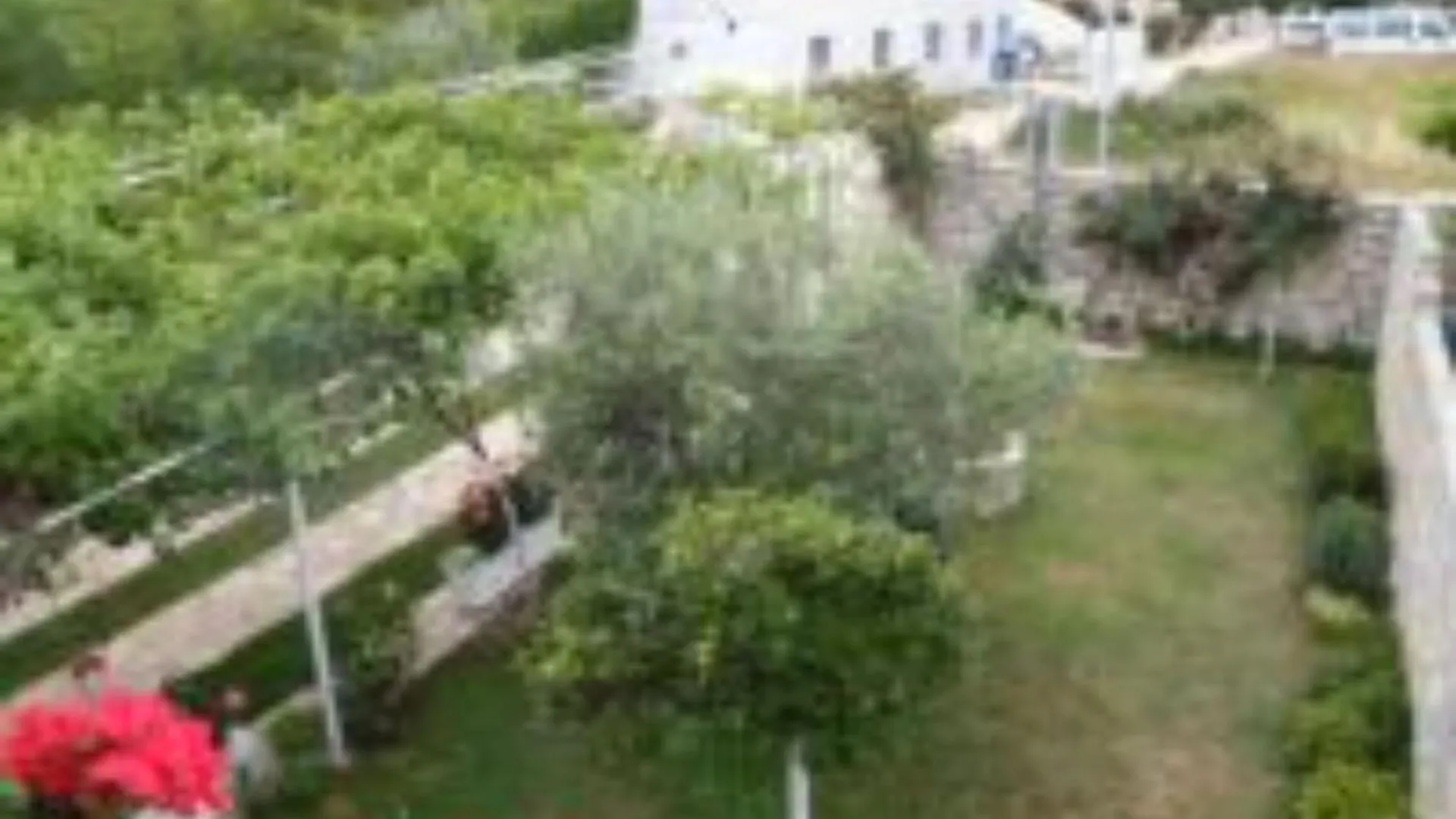 Kata Peaceful Apartment نين